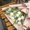 White tulips