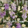 Matthiola Tray