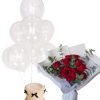 Mini roses package