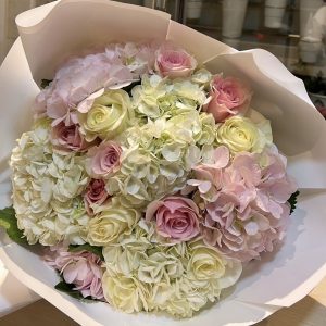 Soft Hues