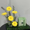 Patchi and gerberas