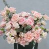 Misty pink