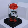Forever Red Rose