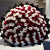 300 red and white roses