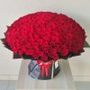 300 red roses