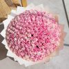 300 pink roses