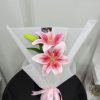 1 lily pink