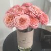 Julietta Mothers Vase
