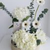 Cash gift hydrangea