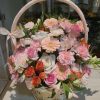 Aurora basket