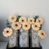 Gerberas money gift