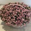 Pink babyroses basket