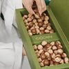 Raffaello Bites