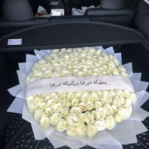 New Car White