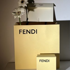 Fendi earrings